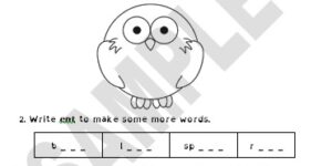 Baby Owl Goes Away