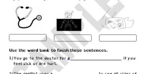 Doctor and Dentist