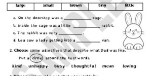 Lea Wants a Rabbit