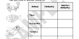 Sand and Land Animals